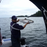 Salmon Fishing Adventures