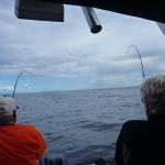 Guided Salmon Fishing