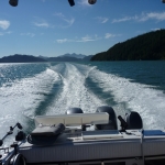 Salmon Fishing Adventures