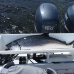 Fishing Guides in Campbell River