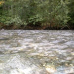 image001 (97).jpg