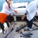 Campbell River salmon fishing