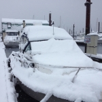 Winter spring fishing campbell river