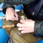 Campell River freshwater Salmon fishing