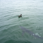image001 (123).jpg