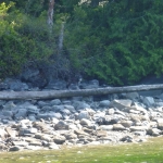 image001 (181).jpg