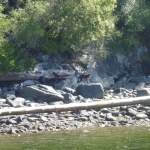 image001 (183).jpg