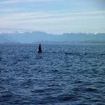 image001 (208).jpg