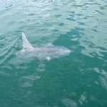 image001 (238).jpg