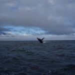 image001 (94).jpg