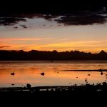 Profish Adventures Campbell River image001 (12).jpg