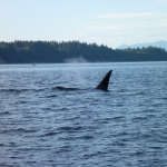 image001 (212).jpg
