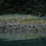 image001 (240).jpg