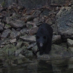 image001 (243).jpg