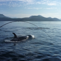 Campbell river Adventure image001 (84).jpg