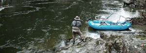 Guided Gold River Steelhead fishing